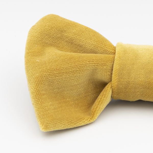 Elegant Off Yellow - obrazek 2