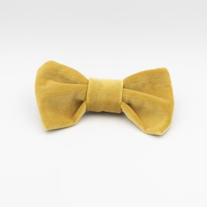 Elegant Off Yellow