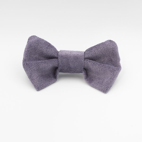 Elegant Purple