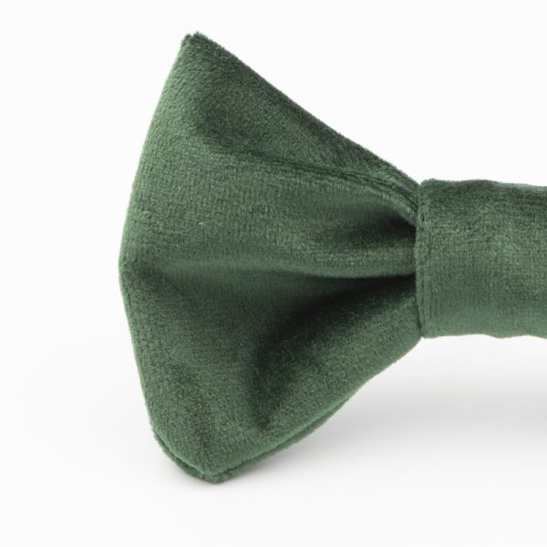 Small Size Green - obrazek 2
